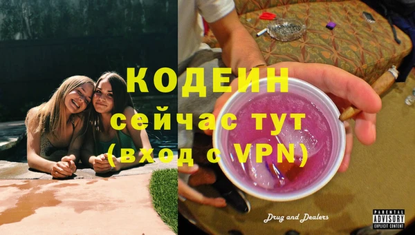 ГАЛЛЮЦИНОГЕННЫЕ ГРИБЫ Нея