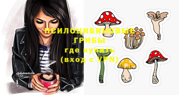 ГАЛЛЮЦИНОГЕННЫЕ ГРИБЫ Нея