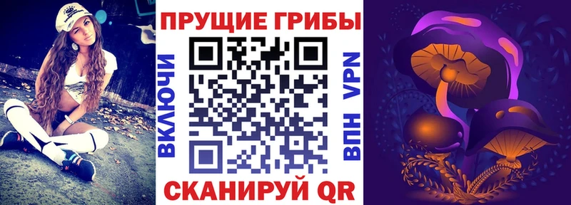 Псилоцибиновые грибы прущие грибы  Щёлково 